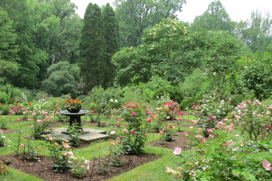 The Barnes Arboretum at Saint Joseph’s University, United States